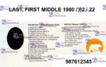 Canada NWT Drivers License Template - PSDMarket.in