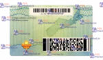 Canada Nova Scotia Drivers License Template - PSDMarket.in