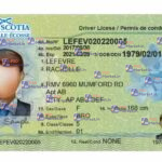 Canada Nova Scotia Drivers License Template - PSDMarket.in