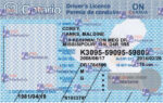 Canada Ontario Drivers License Template - PSDMarket.in