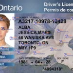 Canada Ontario Drivers License Template - PSDMarket.in