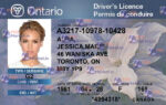 Canada Ontario Drivers License Template - PSDMarket.in