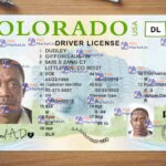 Colorado Drivers License Template (Front & Back) - PSDMarket.in