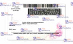 Connecticut Drivers License Template (Front & Back) - PSDMarket.in