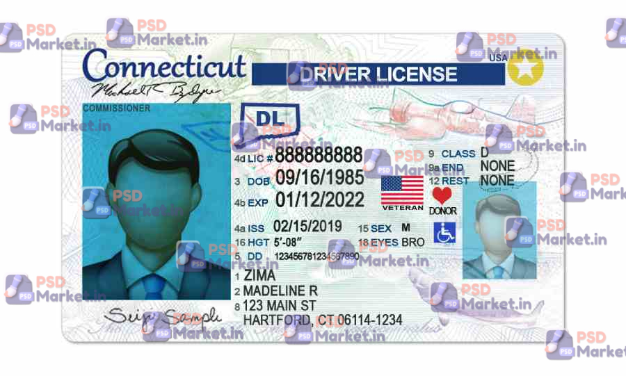 Connecticut Drivers License Template (Front & Back) - PSDMarket.in Connecticut Drivers License Template (Front & Back) - PSDMarket.in