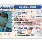 Delaware Drivers License Template (Front & Back) - PSDMarket.in
