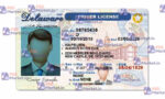 Delaware Drivers License Template (Front & Back) - PSDMarket.in