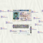 Delaware Drivers License Template (scan) - PSDMarket.in