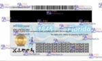Florida Drivers License Template (Front & Back) - PSDMarket.in