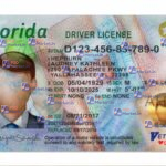 Florida Drivers License Template (Front & Back) - PSDMarket.in