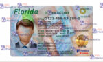 Florida Drivers License Template (Front & Back) - PSDMarket.in