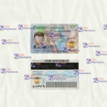 Florida Drivers License Template (scan) - PSDMarket.in