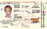 Canada Ontario Drivers License Template - PSDMarket.in - Back for cards without a magnetic stripe