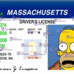 Massachusetts Drivers License Template V1 - PSDMarket.in