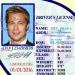North Virginia Drivers License Template - PSDMarket.in