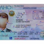 Idaho Drivers License Template (Front & Back)