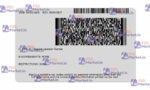 Idaho Drivers License Template (Front & Back)