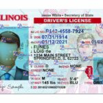 Illinois Drivers License Template (Front & Back) V2 - PSDMarket.in