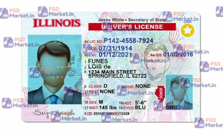 Illinois Drivers License Template (Front & Back) V2 - PSDMarket.in