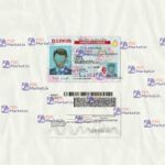 Illinois Drivers License Template (scan) V2 - PSDMarket.in
