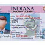 Indiana Drivers License Template (Front & Back) V1 - PSDMarket.in
