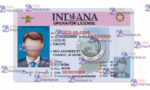 Indiana Drivers License Template (Front & Back) V1 - PSDMarket.in