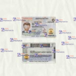 Indiana Drivers License Template (scan) V2 - PSDMarket.in