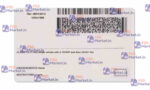 Kansas Drivers License Template (Front & Back) - PSDMarket.in backside