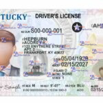 Kentucky Drivers License Template (Front & Back) - PSDMarket.in