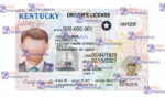 Kentucky Drivers License Template (Front & Back) - PSDMarket.in