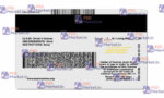 Louisiana Drivers License Template (Front & Back) - PSDMarket.in - Back