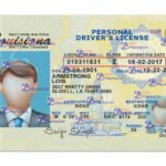 Louisiana Drivers License Template (Front & Back) - PSDMarket.in