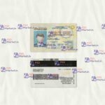 Louisiana Drivers License Template (scan) - PSDMarket.in
