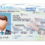 Maine Drivers License Template (Front & Back) V2 - PSDMarket.in
