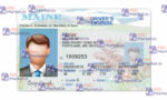 Maine Drivers License Template (Front & Back) V2 - PSDMarket.in