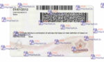 Maine Drivers License Template (Front & Back) V3 - PSDMarket.in