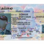 Maine Drivers License Template (Front & Back) V3 - PSDMarket.in