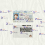 Maine Drivers License Template (scan) V2 - PSDMarket.in