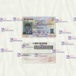Maine Drivers License Template (scan) V3 - PSDMarket.in