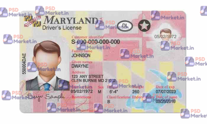 Maryland Drivers License Template (Front & Back) - PSDMarket.in