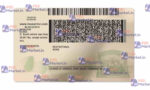 Massachusetts Drivers License Template (Front & Back) V2 - PSDMarket.in