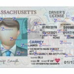 Massachusetts Drivers License Template (Front & Back) V2 - PSDMarket.in