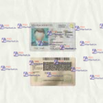 Massachusetts Drivers License Template (scan) V2 - PSDMarket.in