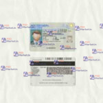 Michigan Drivers License Template (scan) - PSDMarket.in