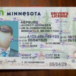 Minnesota Drivers License Template (Front & Back) -PSDMarket.in