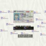 Minnesota Drivers License Template (scan) - PSDMarket.in