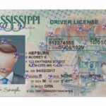 Mississippi Drivers License Template (Front & Back) V2 - PSDMarket.in
