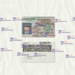 Mississippi Drivers License Template (scan) V2 - PSDMarket.in