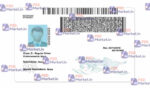 Montana Drivers License Template (Front & Back) - PSDMarket.in