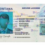 Montana Drivers License Template (Front & Back) - PSDMarket.in